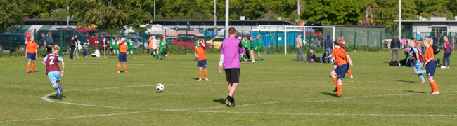 Stadi Cup 2012.